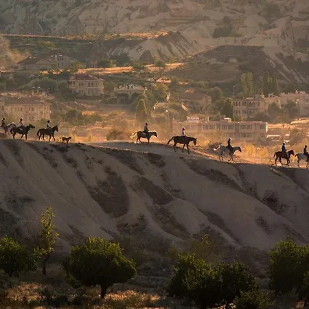 Vandrerhjem Nil Story House