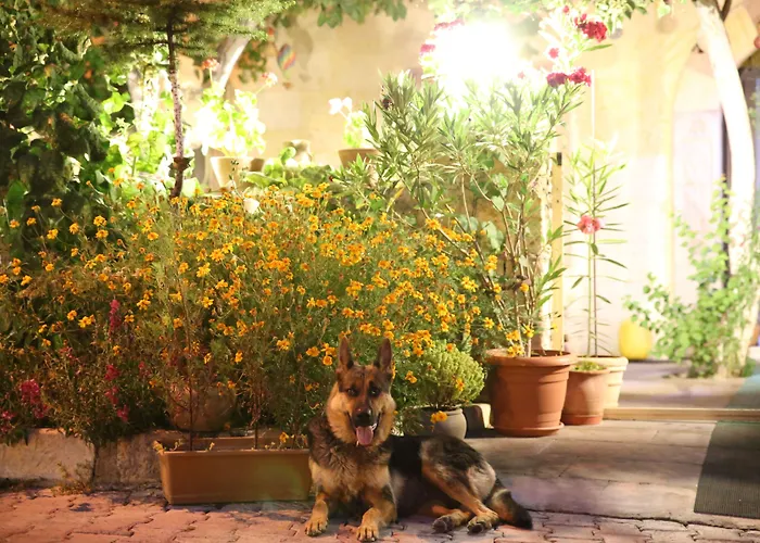 Nil Story House Hostel Goreme