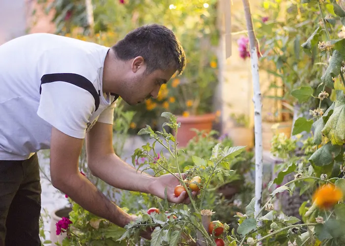 Nil Story House Goreme