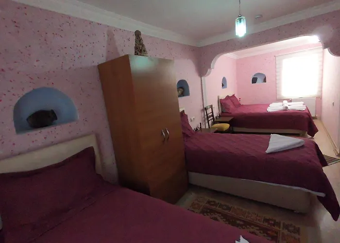 Hostel Nil Story House